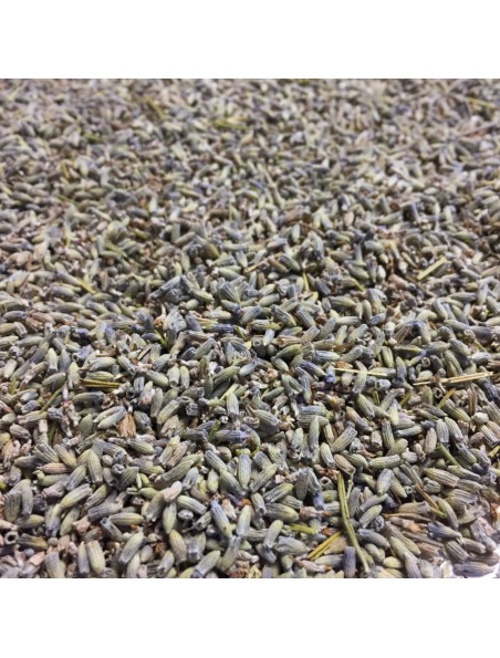 Image principale de Lavande officinale Bio - Fleurs 100g -Tisane de Lavandula angustifolia