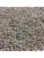 Image de Lavande officinale Bio - Fleurs 100g -Tisane de Lavandula angustifolia via Acheter CalmiGEM GC03 Bio Spray - Stress et anxiété 10 ml -