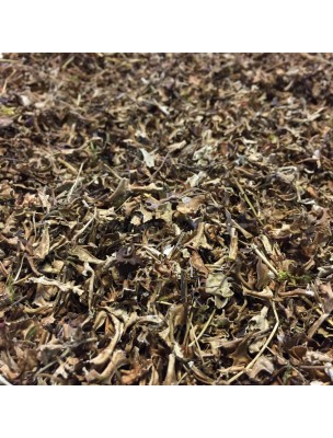 Image de Lichen d'Islande - Thalle coupé 100g -Tisane de Cetraria islandica depuis Commandez les produits Louis à l'herboristerie Louis