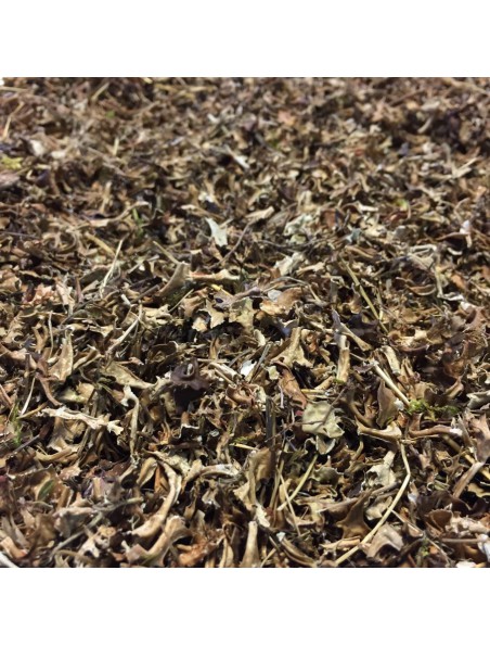 Image principale de Lichen d'Islande - Thalle coupé 100g -Tisane de Cetraria islandica