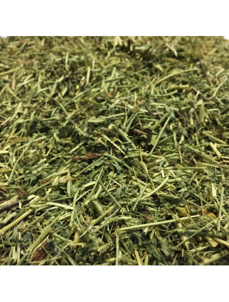 Achetez Lotier corniculé Bio - Partie aérienne coupée 100g - Tisane de Lotus corniculatus L. à l'herboristerie Louis Image principale de Lotier corniculé Bio - Partie aérienne coupée 100g - Tisane de Lotus corniculatus L.