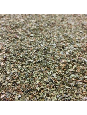 Image de Marjolaine Bio - Feuilles 100g -Tisane d'Origanum majorana L. via Origan Bio - Tisane d'Origanum vulgare