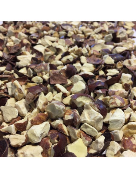 Achetez Marron d'Inde Bio - Fruit concassé 100g - Tisane Aesculus hippocastanum L. à l'herboristerie Louis Image principale de Marron d'Inde Bio - Fruit concassé 100g - Tisane Aesculus hippocastanum L.