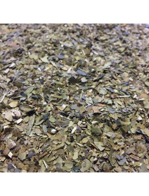 Image de Organic Maté - Leaves 100g - Herbal Tea Ilex paraguariensis via Buy Handmade Maté Calabash in Les Parois