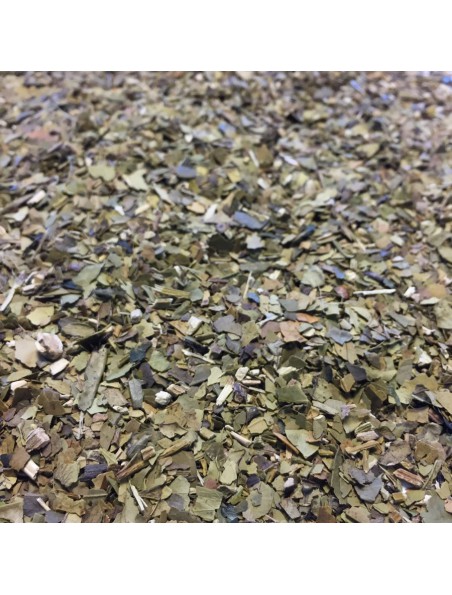 Achetez Maté Bio - Feuilles coupées 100g - Tisane Ilex paraguariensis à l'herboristerie Louis Image principale de Maté Bio - Feuilles coupées 100g - Tisane Ilex paraguariensis