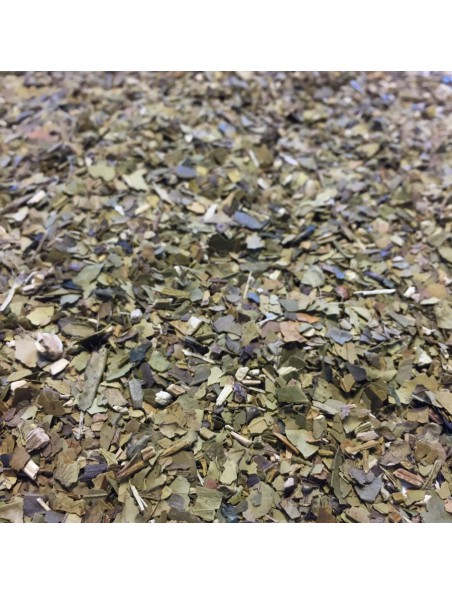 Image principale de Maté Bio - Feuilles coupées 100g - Tisane Ilex paraguariensis