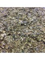Image de Maté Bio - Feuilles coupées 100g - Tisane Ilex paraguariensis via Acheter Calebasse et Bombilla pour Maté -