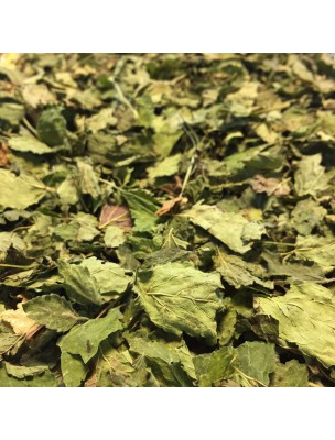 Image de Lemon Balm Organic - Whole Leaves 50g - Herbal Tea Melissa officinalis L. depuis Relaxation and relaxation in nature