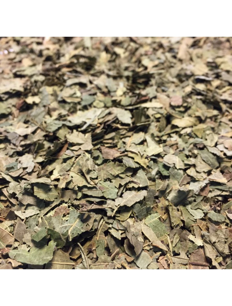 Image principale de la modale pour Noyer Bio - Feuilles coupées 100g -Tisane de Juglans regia L.