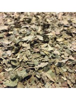 Image de Noyer Bio - Feuilles coupées 100g -Tisane de Juglans regia L. depuis ▷▷ Tisanes de plantes commençant par la lettre N