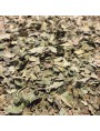 Image de Noyer Bio - Feuilles coupées 100g -Tisane de Juglans regia L. via Mûrier noir - Feuilles coupées 100g - Tisane Morus nigra