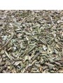 Image de Olivier Bio - Feuilles coupées 100g - Tisane d'Olea europaea L. via Acheter CordiaGEM GC04 Bio - Rythme cardiaque 30 ml -