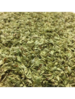 Image de Origan Bio - Feuille coupée 100g - Tisane d'Origanum vulgare via Origan Bio Teinture-mère Origanum vulgare 50ml - Herbiolys