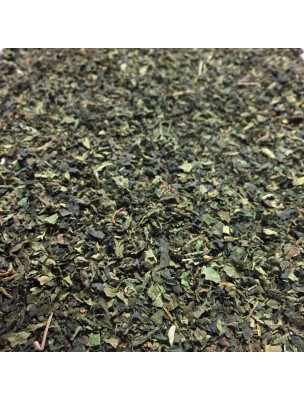 Image de Nettle Bio - Cut leaves 50g - Herbal Tea Urtica dioica L. via Buy Harpagophytum (Devil's Claw) Organic - Cut root 100g -