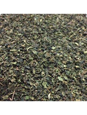 Image de Ortie Bio - Feuilles coupées 50g - Tisane Urtica dioica L. via Harpagophytum Bio - Racine coupée 100g