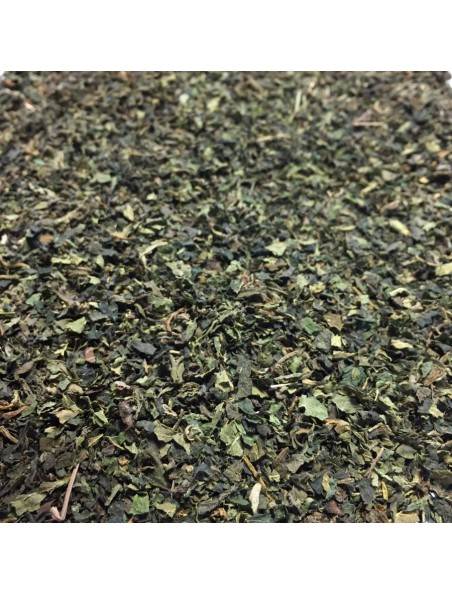 Ortie Bio - Feuilles coupées 50g - Tisane Urtica dioica L.