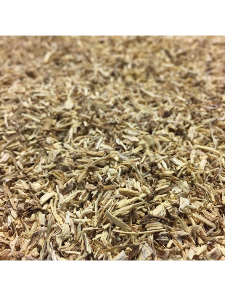 Image principale de la modale pour Ortie Bio - Racine coupée 100g - Tisane Urtica dioica L.