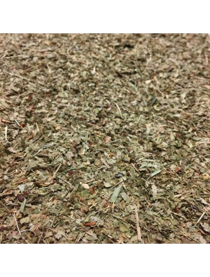 Image de Bilberry Bio - Cut leaves 100g - Herbal tea from Vaccinium myrtillus L. depuis Buds for urinary comfort