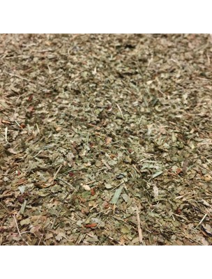 Image de Bilberry Bio - Cut leaves 100g - Herbal tea from Vaccinium myrtillus L. depuis Moisturize your eyelids, stimulate your vision and beautify your eyes