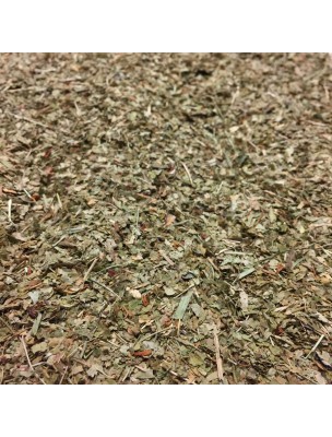 Image de Myrtille Bio - Feuilles coupées 100g - Tisane de Vaccinium myrtillus L. via Euphraise officinale Bio - Tisane pour les yeux et le rhume des foins