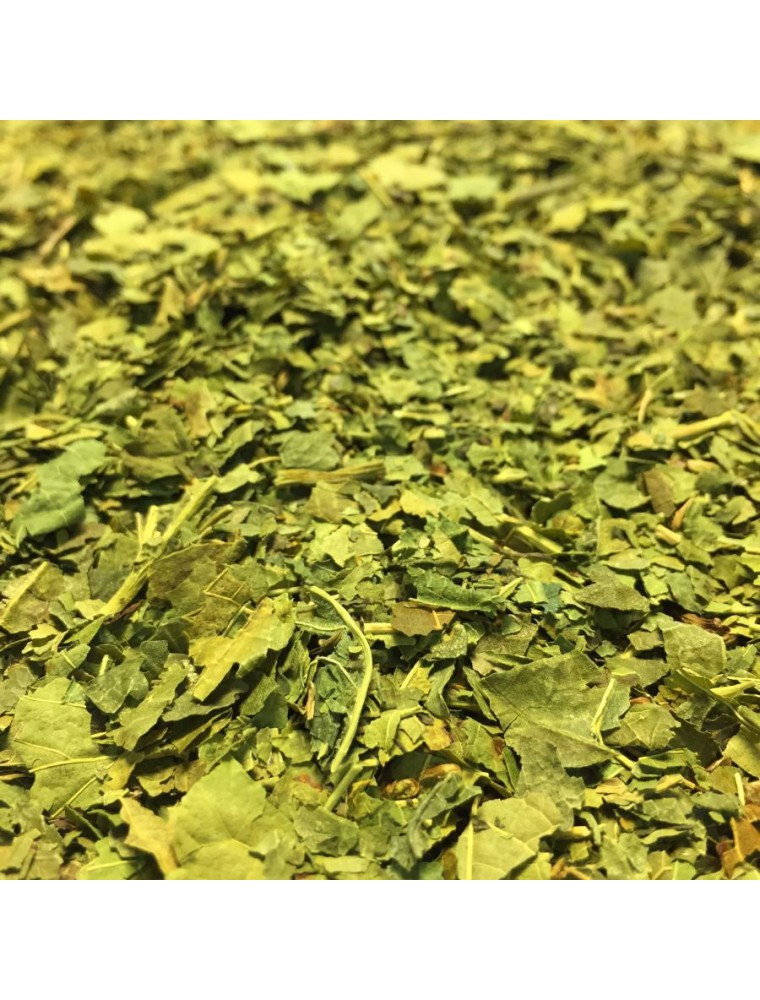 Image principale de la modale pour Mûrier noir - Feuilles coupées 100g - Tisane Morus nigra L.