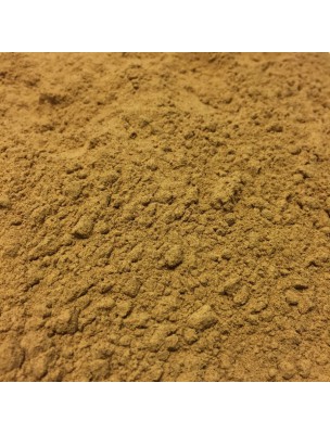 Image de Guarana Bio - Graine en poudre 100g - Paullinia cupana Kunth. depuis Top Desire - Stimule la libido féminine - LaboPhyto
