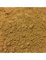 Image de Guarana Bio - Graine en poudre 100g - Paullinia cupana Kunth. via Acheter Fucus - Suspension Intégrale de Plante Fraîche (SIPF) 100 ml -