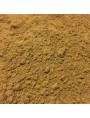 Image de Guarana Bio - Seed in powder 100g - Paullinia cupana Kunth. via Buy Galbanum Bio - Ferula galbaniflua Essential Oil 5 ml - Organic