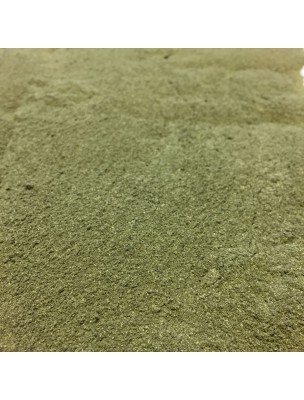 Image de Ortie Bio - Partie aérienne en poudre 100g - Urtica dioica L. depuis Achetez Prêle Bio - Partie aérienne en poudre 100g