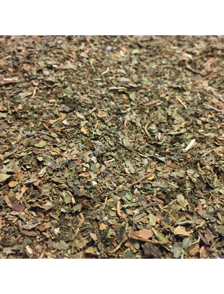 Image principale de la modale pour Papayer - Feuille coupée 100g - Tisane de Carica papaya