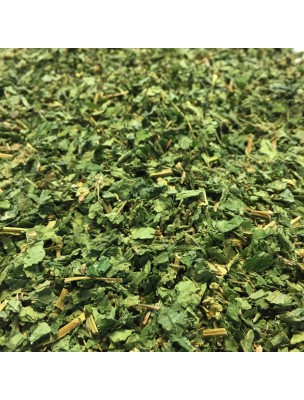 Image de Pariétaire Bio - Partie aérienne coupée 100g - Tisane de Parietaria officinalis via Acide malique - Foie 500g