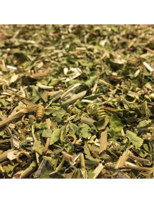 Image de Passiflore Bio - Partie aérienne coupée 50g - Tisane Passiflora edulis Sims via Acheter Filtres à thé en papier pour thé en vrac - 64