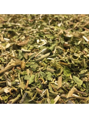 Image de Passiflore Bio - Partie aérienne coupée 50g - Tisane Passiflora incarnata via Boîte à thé New Little Geisha Petrol - 150 g