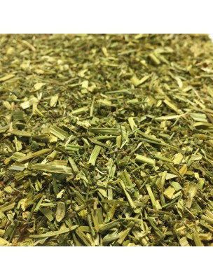 Image de Pensée sauvage Bio - Partie aérienne coupée 100g - Tisane de Viola arvensis Murray via Bardane Bio, racine coupée 100g - Tisane Arctium lappa L.