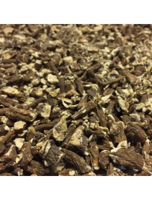 Image de Pissenlit Bio - Racine coupée 100g - Tisane de Taraxacum dens leonis via Chicorée Bio - Racine poudre 100g - Tisane Cichorium intybus L.