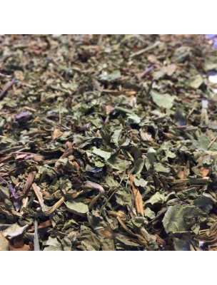 Image de Pissenlit Bio - Feuille coupée 100g - Tisane Taraxacum dens leonis depuis Commandez les produits Louis Bio à l'herboristerie Louis