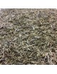 Prêle Bio - Partie aérienne coupée 100g - Tisane d\'Equisetum arvense L.