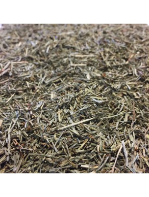 Image de Prêle Bio - Partie aérienne coupée 100g - Tisane d'Equisetum arvense L. depuis PrestaBlog