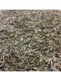 Image de Horsetail organic - Cut aerial part 100g - Herbal tea from Equisetum arvense L. via Buy Cartilyon - Cartilage and Connective Tissue Trace Elements 500