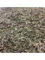 Image de Horsetail organic - Cut aerial part 100g - Herbal tea from Equisetum arvense L. via Buy Dry Shampoo Sanorganic Rinse Shampoo - Raspberry 50g -