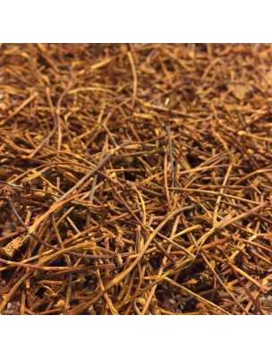 Image de Queue de cerise - Pédoncule 50g - Tisane Prunus cerasus L. depuis Résultats de recherche pour "Balade %EF%BF%BD%EF%BF%BD S%EF%BF%BD%EF%BF%BDvill"