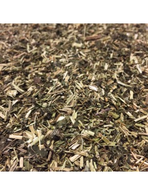 Image de Reine des prés Bio - Sommité fleurie coupée 100g - Tisane de Spiraea ulmaria L. depuis Queue de cerise - Pédoncule coupé 50g - Tisane Prunus cerasus L. -