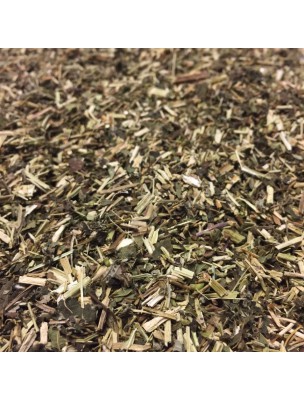 Image de Reine des prés Bio - Sommité fleurie coupée 100g - Tisane de Spiraea ulmaria L. via Cassis Bio - Tisane de Ribes nigrum L.