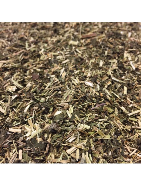 Reine des prés Bio - Sommité fleurie coupée 100g - Tisane de Spiraea ulmaria L.