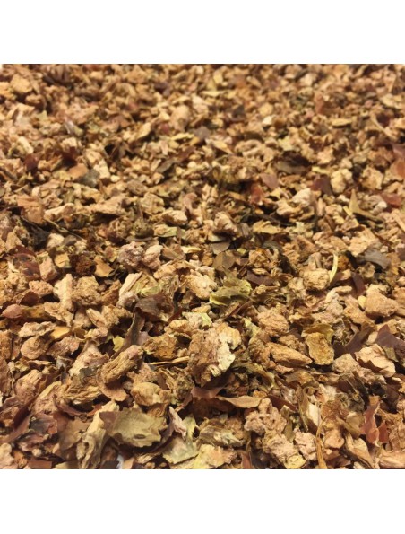 Rhodiola - Racines coupées 50g - Tisane de Rhodiola rosea L.