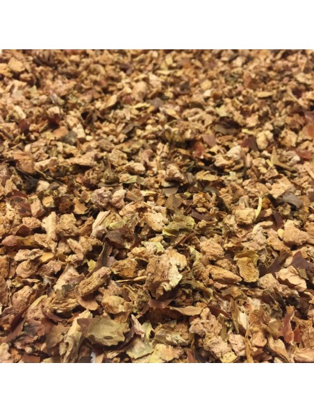 Achetez Rhodiola - Racines coupées 50g - Tisane de Rhodiola rosea L. à l'herboristerie Louis Image principale de Rhodiola - Racines coupées 50g - Tisane de Rhodiola rosea L.