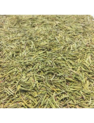 Image de Romarin Bio - Feuilles 100g - Tisane de Rosmarinus officinalis L. via Chicorée sauvage Bio - Racine coupée - Tisane Cichorium intybus L.