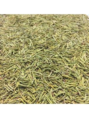 Image de Rosemary Organic - Leaves 100g - Herbal Tea from Rosmarinus officinalis L. via Buy Organic Wild Chicory - Cut Root 100g - Cichorium Herbal Tea