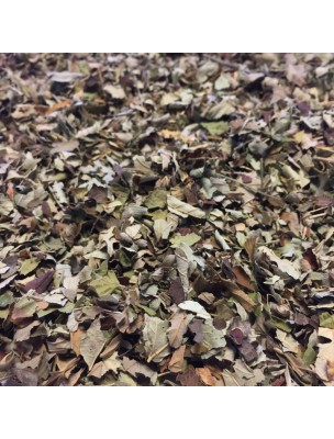 Image de Ronce Bio - Feuilles coupées 100g - Tisane Rubus fruticosus L. via Macérat de jeunes pousses Bio - Ronce Rubus fructicosus 50 ml - Alphagem