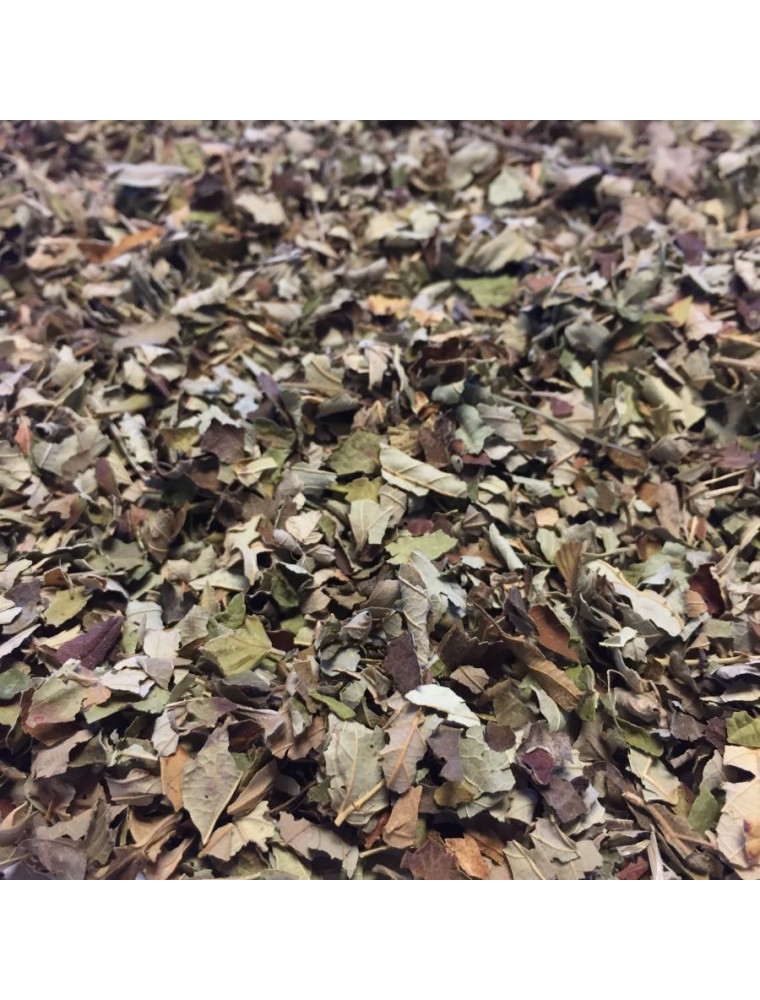 Image principale de la modale pour Ronce Bio - Feuilles coupées 100g - Tisane Rubus fruticosus L.